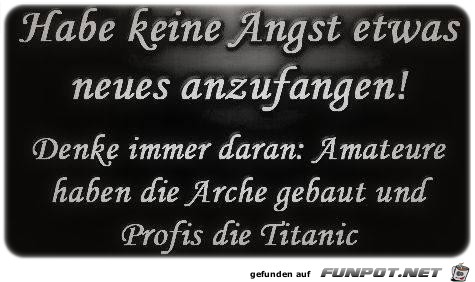 Arche Arche