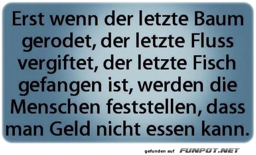 Erst wenn der letzte Erst wenn der letzte