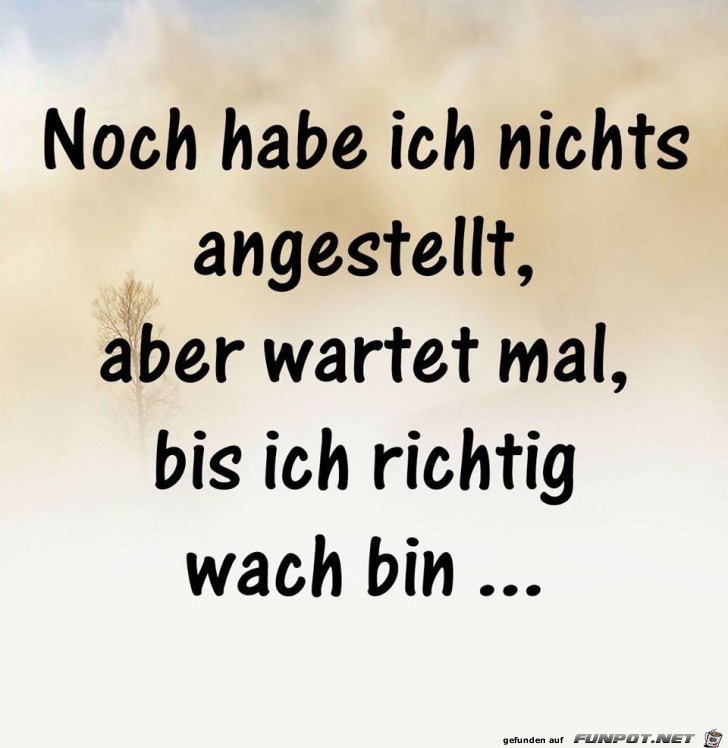 Wartet bis ich wach bin Wartet bis ich wach bin