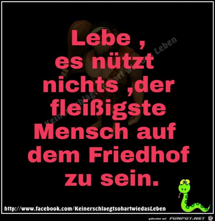 Lebe es nuetzt nichts Lebe es nuetzt nichts