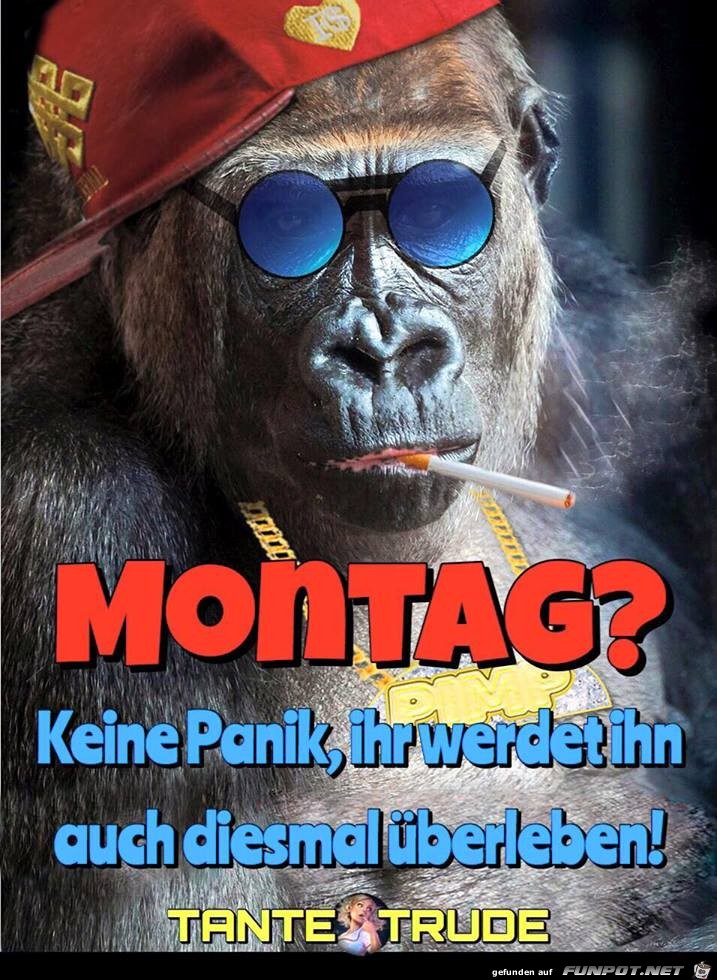 Montag Montag