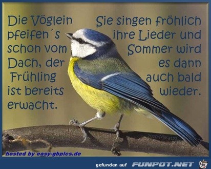 Fruehlingsbild