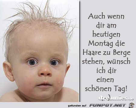 Wenn dir die Haare zu Berge stehen Wenn dir die Haare zu Berge stehen