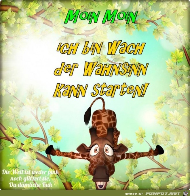 Der Wahnsinn kann beginnen Der Wahnsinn kann beginnen