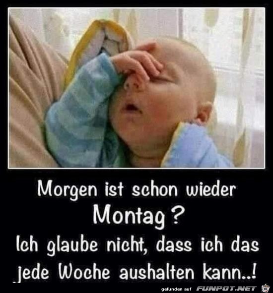 schon wieder Montag...... schon wieder Montag......