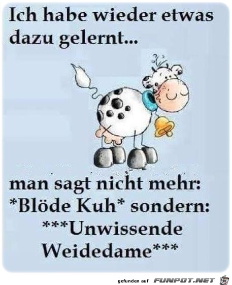 Dazu gelernt Dazu gelernt