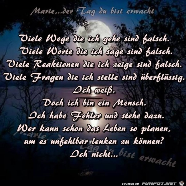 Viele Wege... Viele Wege...