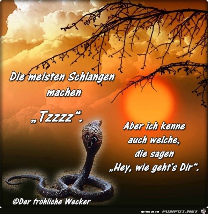Die meisten Schlangen Die meisten Schlangen