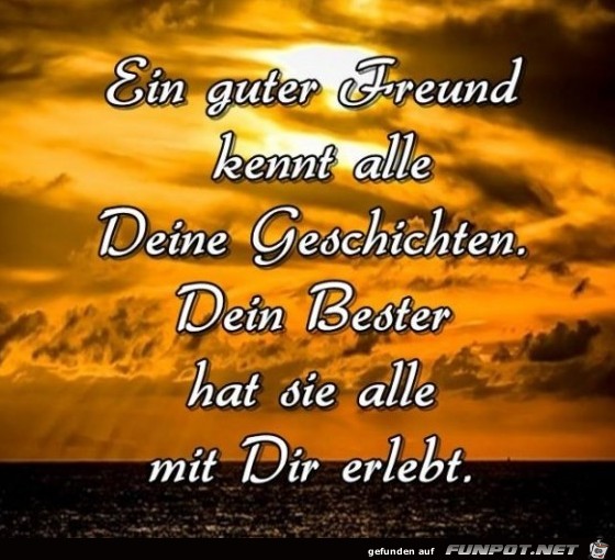 Ein guter Freund