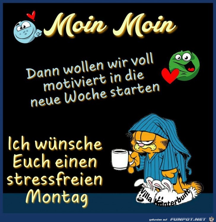 Moin Moin