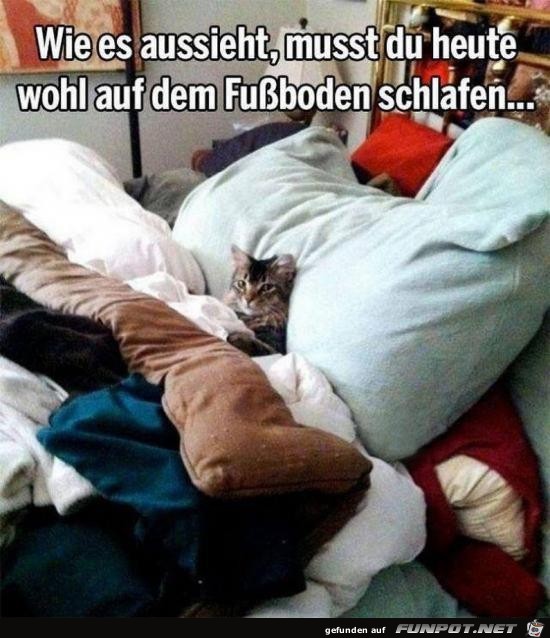 So sieht es aus So sieht es aus