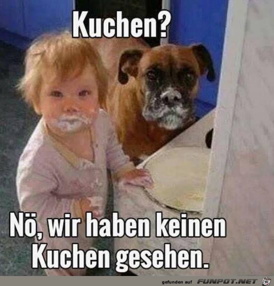 Wir haben nichts gesehen Wir haben nichts gesehen