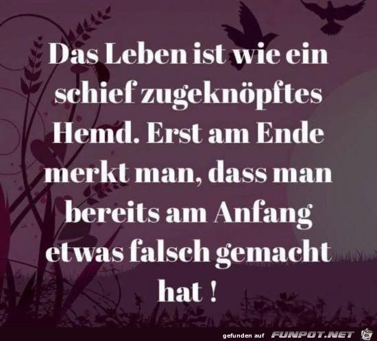 das Leben ist we ein zugeknpftes Hemd.......