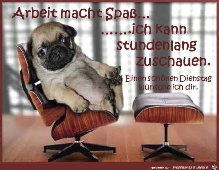 Kann stundenlang zusehen Kann stundenlang zusehen