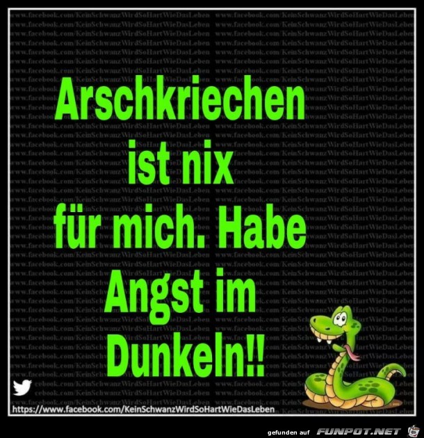 Habe Angst im Dunkeln Habe Angst im Dunkeln