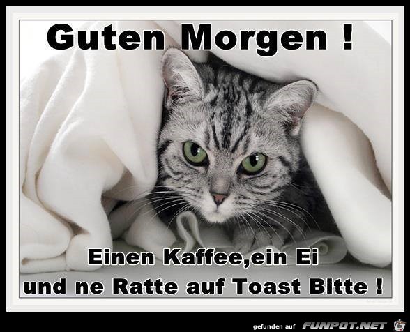 Guten Morgen