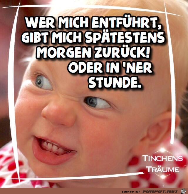 Wer mich entfuehrt Wer mich entfuehrt