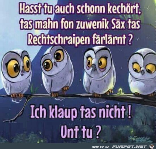 Hasst tu auch schonn kechört ? Hasst tu auch schonn kechört ?