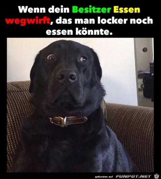 Eine Frechheit Eine Frechheit