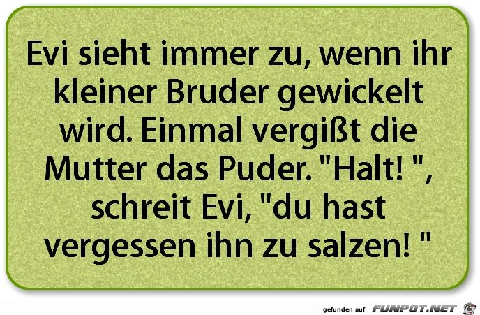 Evi sieht immer zu Evi sieht immer zu