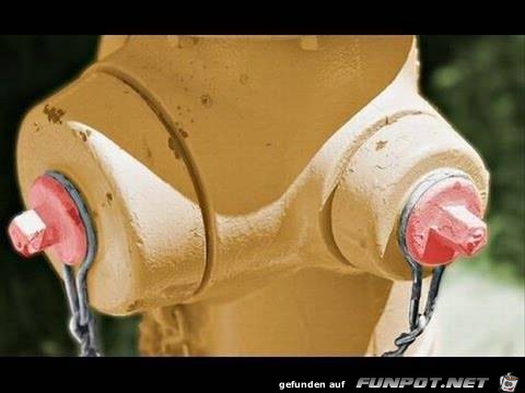 Sogar-mit-Nippelklemmen Sogar-mit-Nippelklemmen
