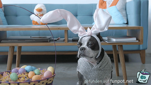 witzige amimierte Bilder zu Ostern aus verschiedenen Blogs
