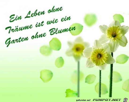 ein Leben ohne Trume ist wie ein.........