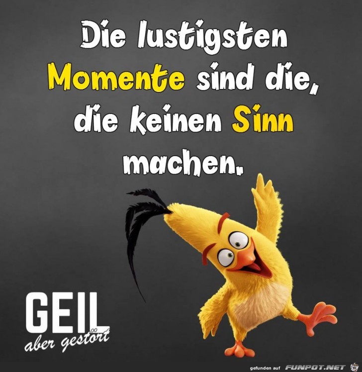 Die lustigsten Momente Die lustigsten Momente