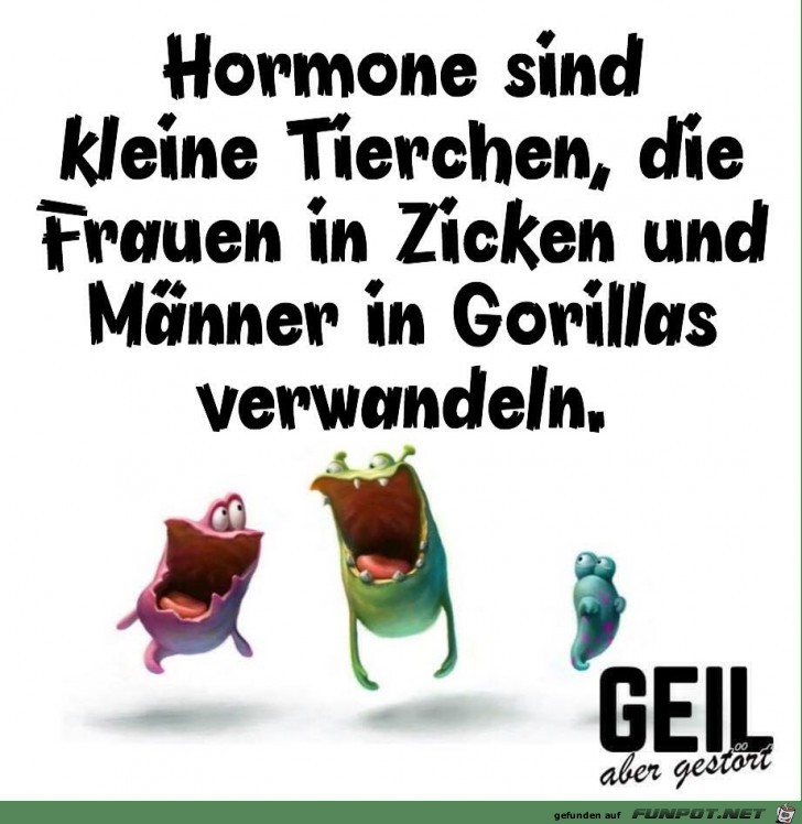Harmone Harmone