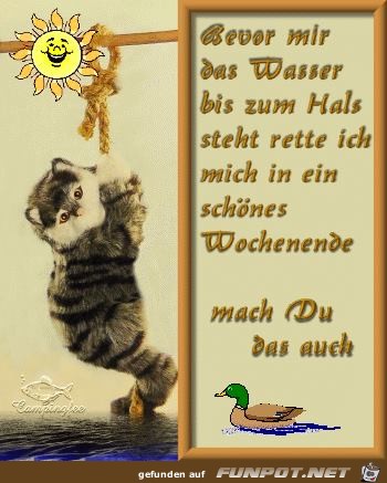 Bevor mir das Wasser bis zum Hals steht Bevor mir das Wasser bis zum Hals steht