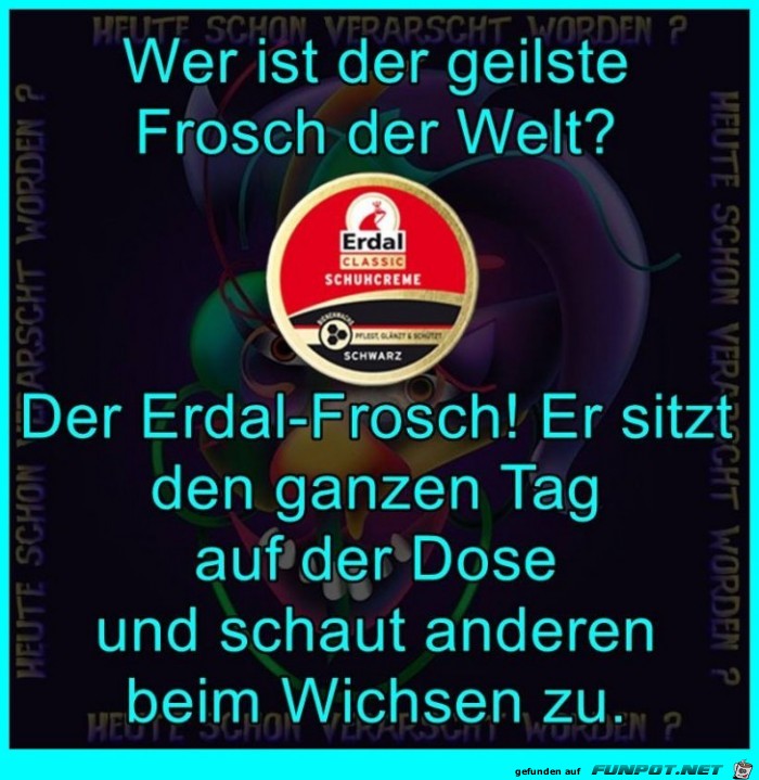 Der geilste Frosch