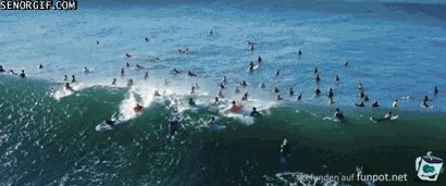 Superwelle Superwelle