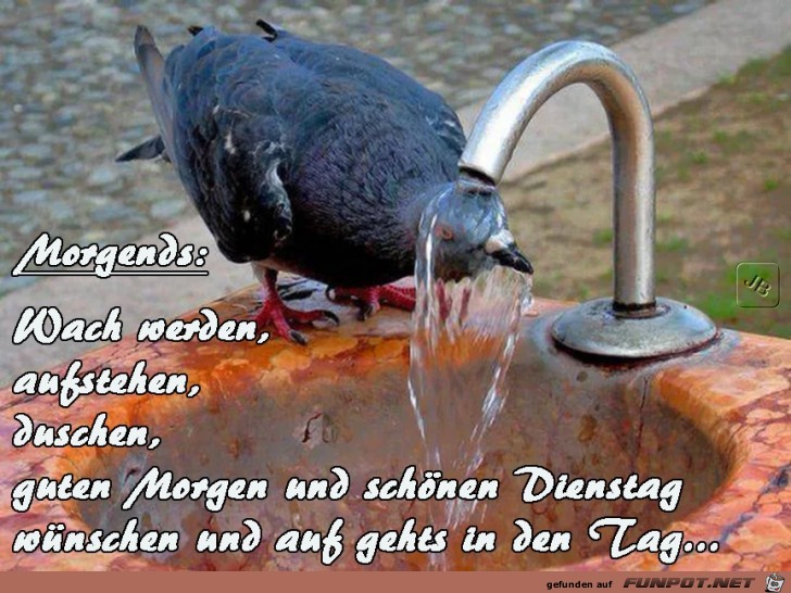 Dienstag Dienstag
