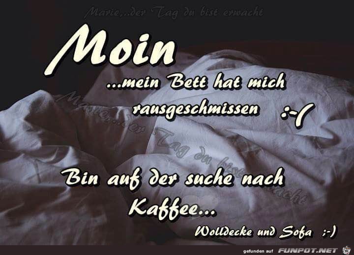 Moin Moin