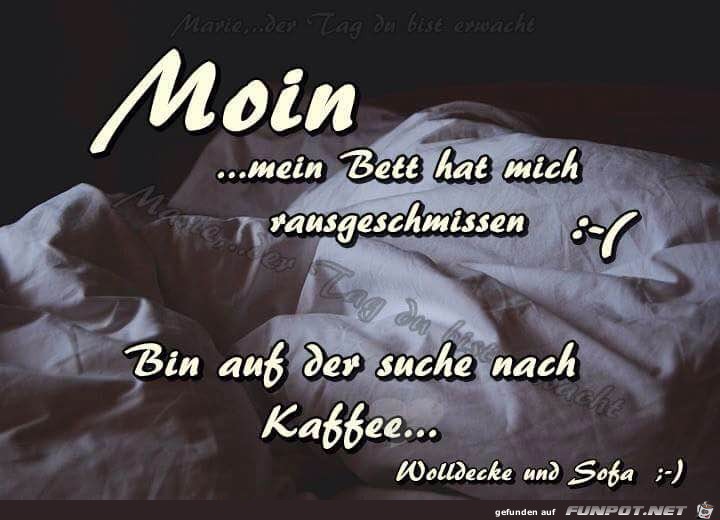 Moin