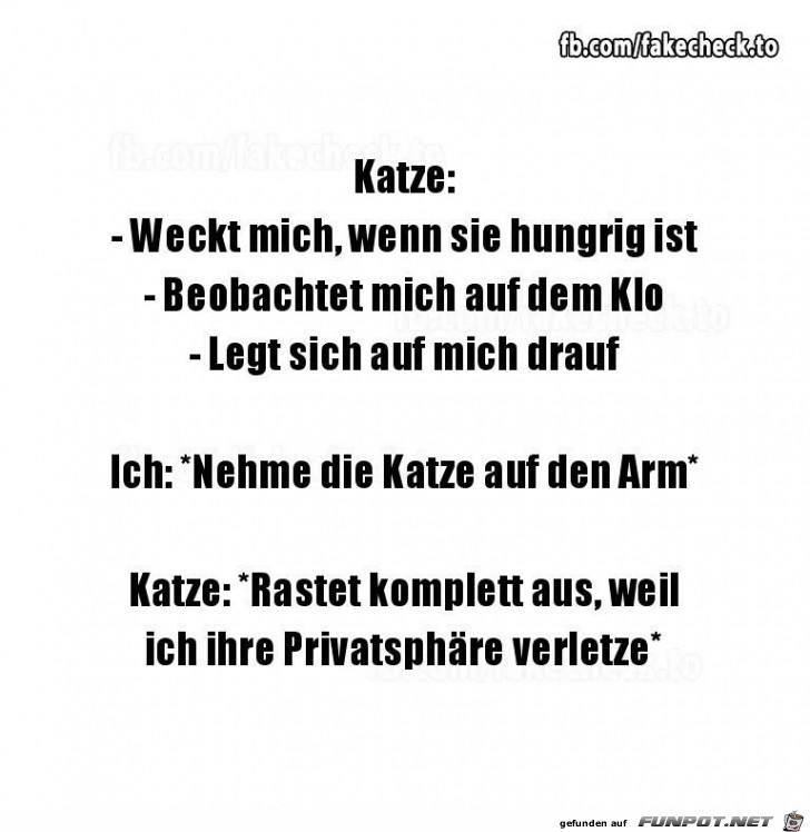 Typisch Katze Typisch Katze