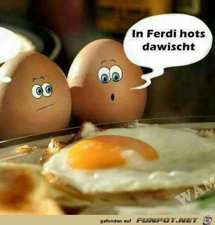 Fredi hats dawischt Fredi hats dawischt