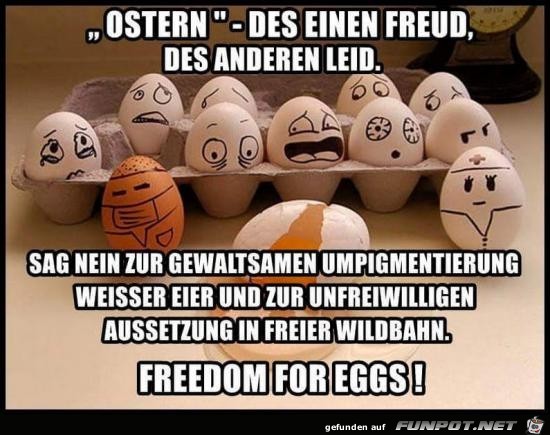 Freiheit für Eier Freiheit für Eier