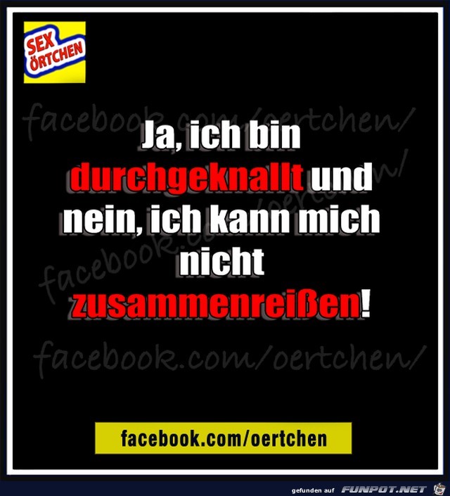Ja ich bin durchgeknallt Ja ich bin durchgeknallt