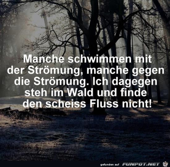 manche schwimmen mit der Strömung...... manche schwimmen mit der Strömung......