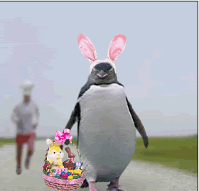 Pinguin-Ostern