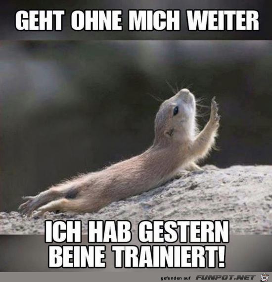 Geht ohne mich weiter Geht ohne mich weiter