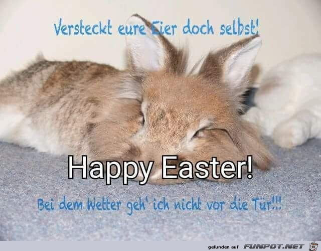 Bei dem Wetter geh ich nicht vor die Tür Bei dem Wetter geh ich nicht vor die Tür