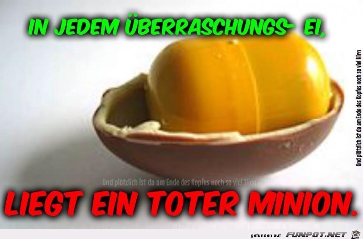 Ueberraschungsei Ueberraschungsei