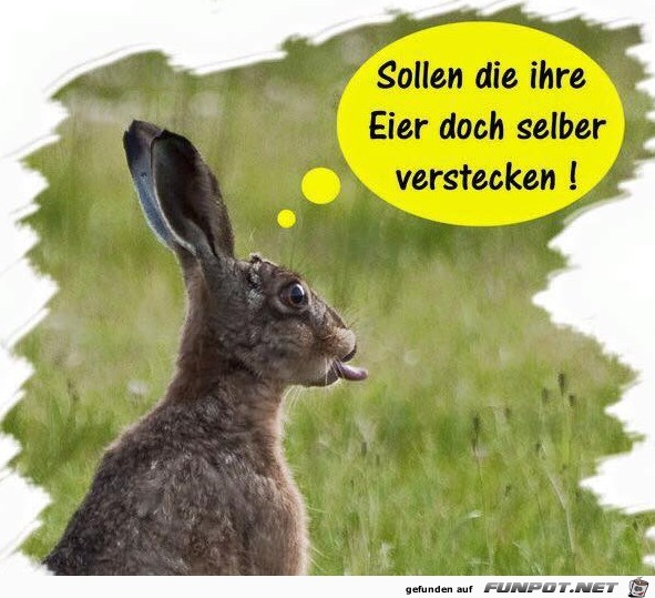 Versteckt doch eure Eier selber Versteckt doch eure Eier selber