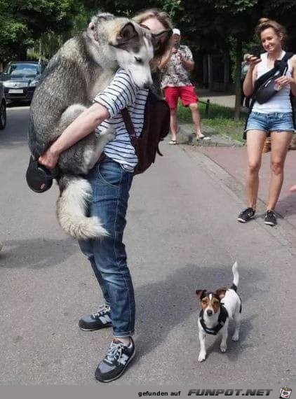 Ich habe Angst Ich habe Angst