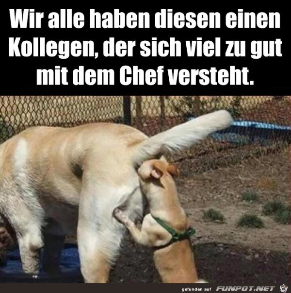 Dieser eine Kollege Dieser eine Kollege