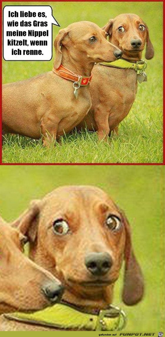 Dieser Blick Dieser Blick