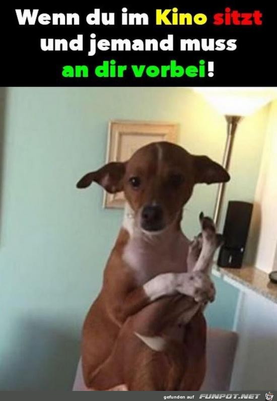 Das passt Das passt