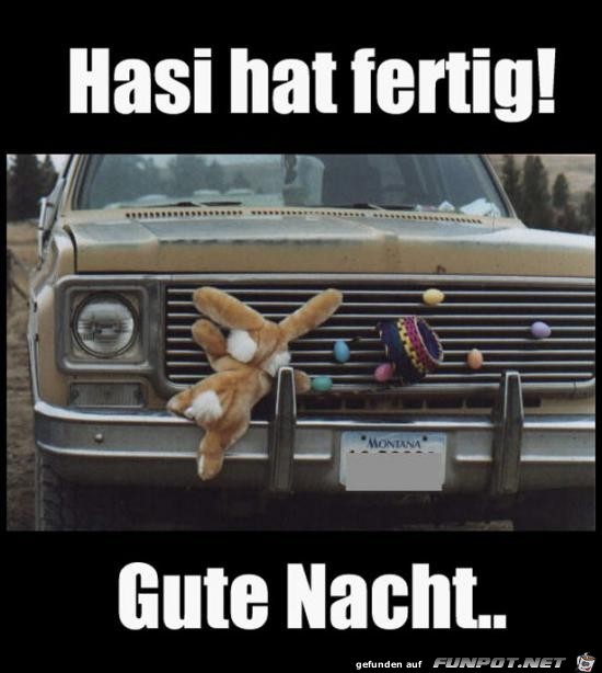Hasi ist fertig Hasi ist fertig
